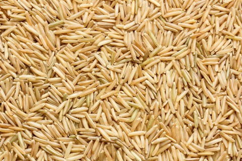 Basmati whole grain rice organic 25 kg