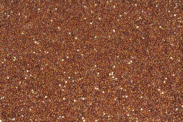 Quinoa červená 25 kg