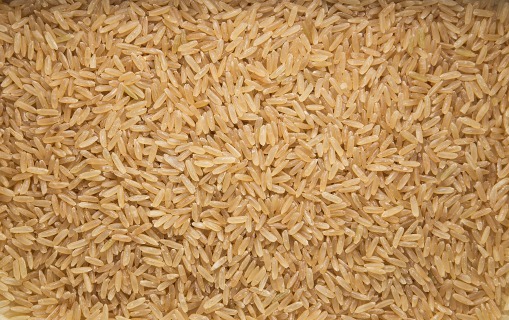 Riz au jasmin grain entier BIO 25 kg