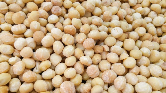 Macadamia-Nuss Jumbo RAW 11.34 kg