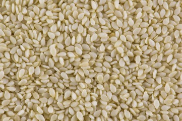 Sezam bílý loupaný BIO 500 g 25 kg