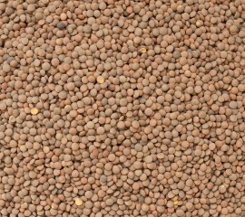 Čočka hnědá BIO 25 kg