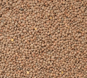 Čočka hnědá BIO 25 kg