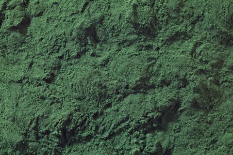 Spirulina-Pulver Bio 20 kg
