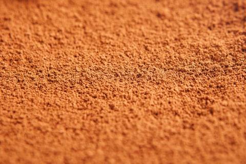 Ceylon-Zimt gemahlen BIO 25 kg