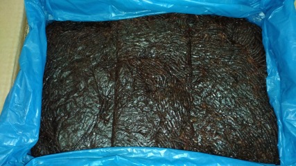 Aprikosenpaste BIO 10 kg