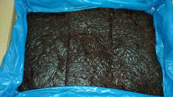 Aprikosenpaste BIO 10 kg