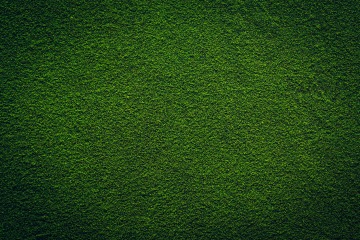 Chlorella prášek BIO 25 kg