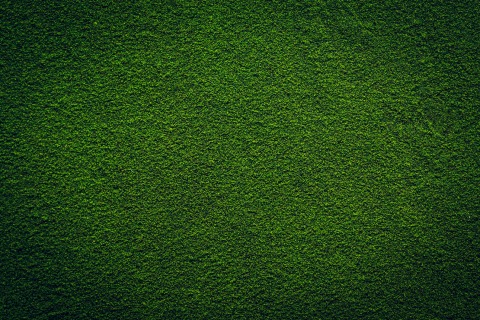 Chlorella-Pulver BIO 25 kg