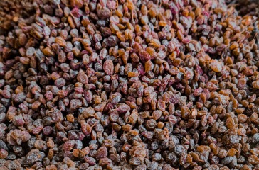 Rozinky Sultánky Standard 12,5 kg