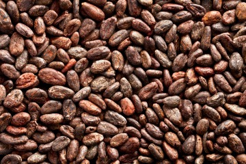 Kakaové boby celé RAW BIO 15 kg